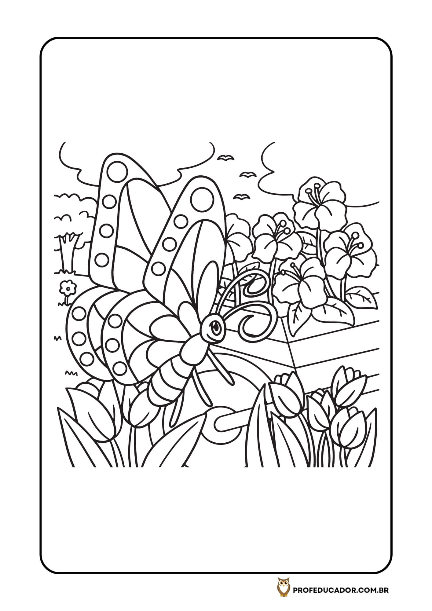 As melhores atividades para Colorir 30 atividades de colorir BORBOLETAS