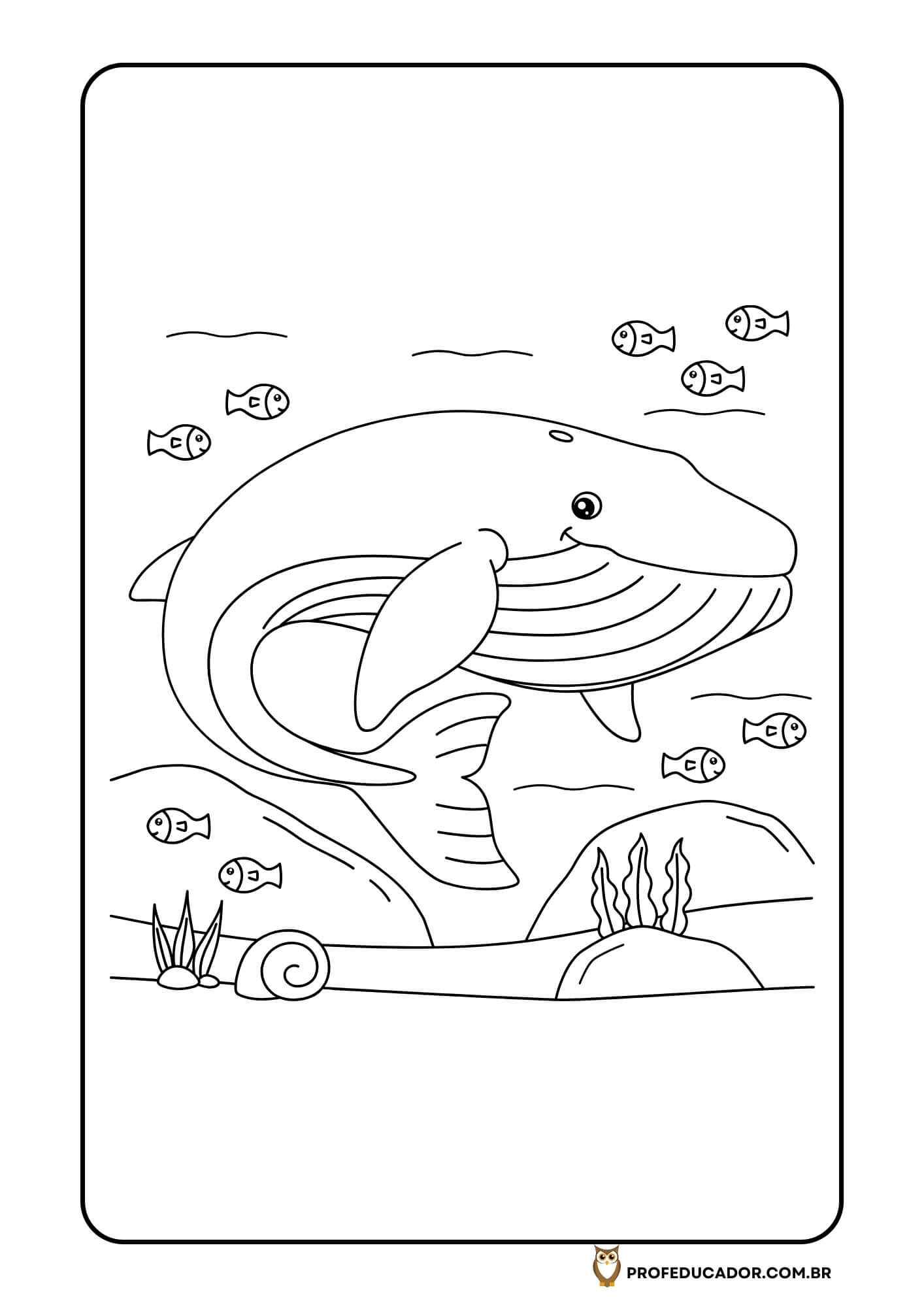As melhores atividades para Colorir 41 atividades de colorir animais marinhos