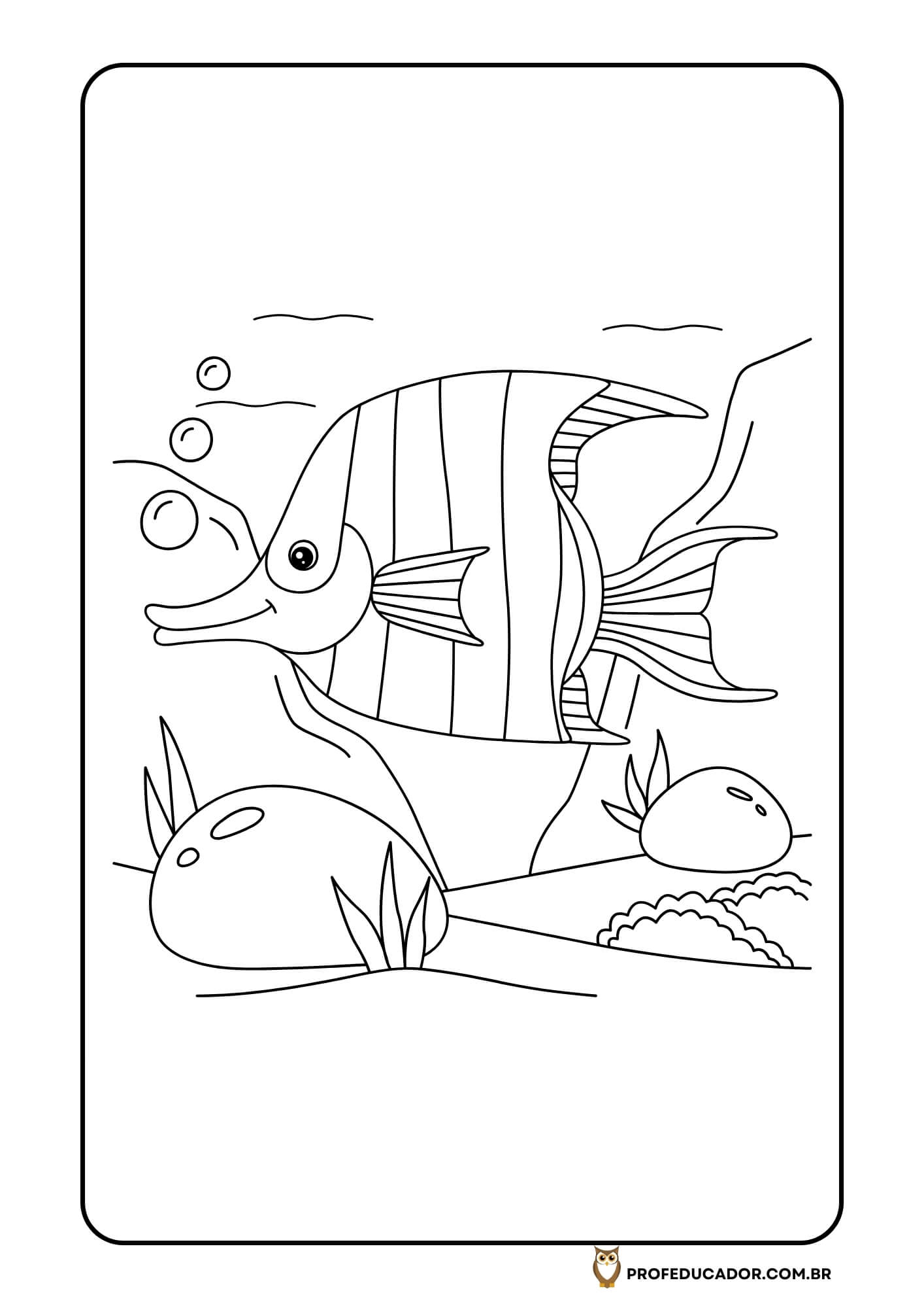 As melhores atividades para Colorir 44 atividades de colorir animais marinhos