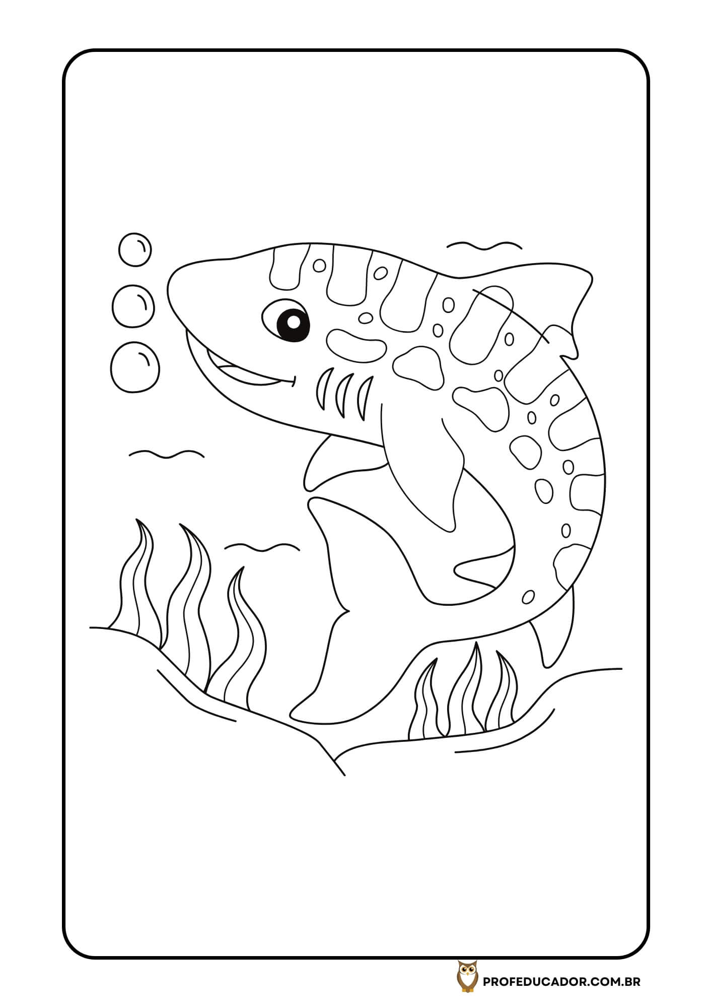 As melhores atividades para Colorir 34 atividades de colorir animais marinhos