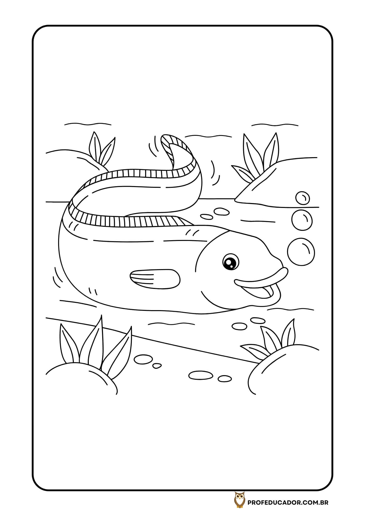 As melhores atividades para Colorir 35 atividades de colorir animais marinhos