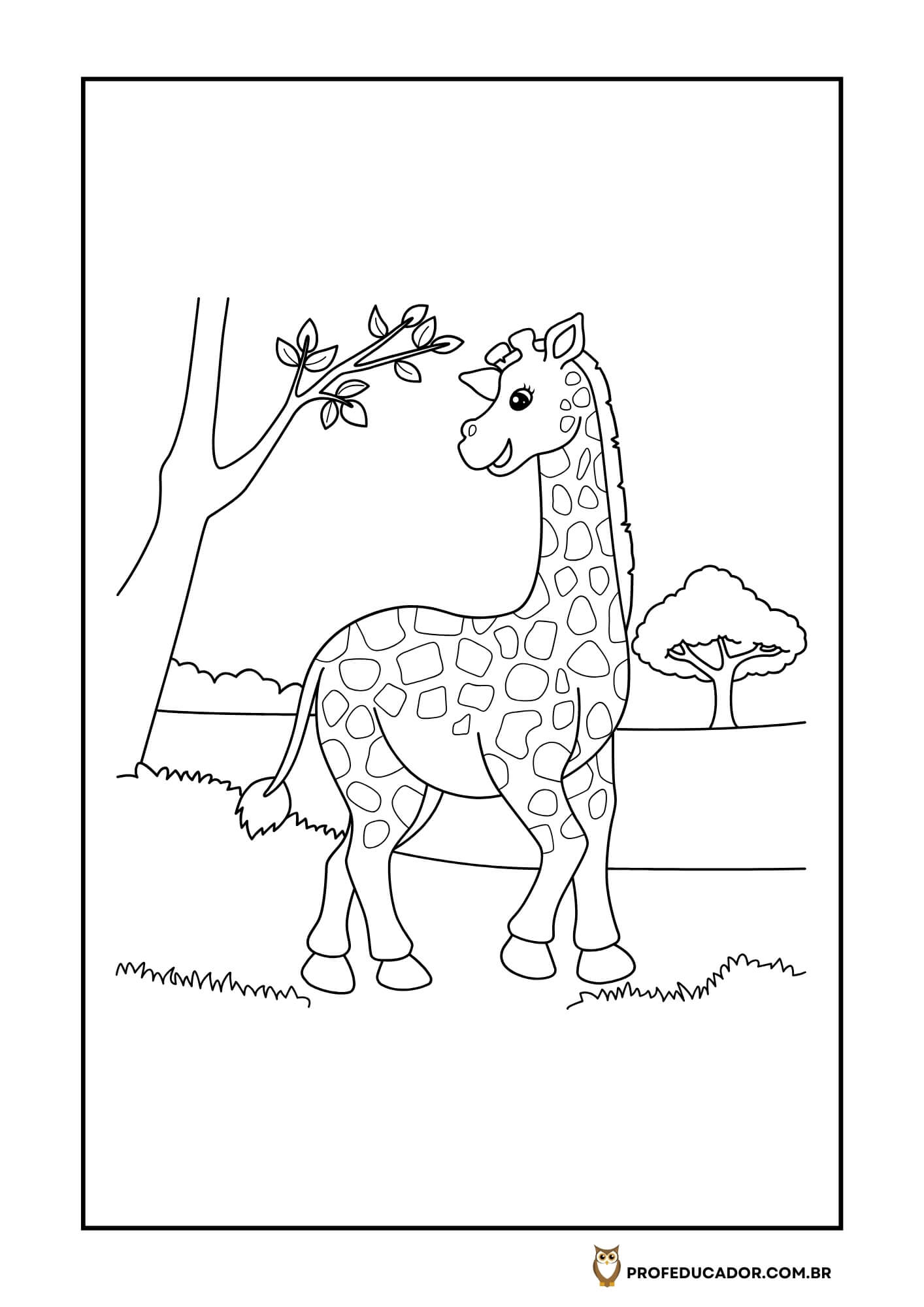 As melhores atividades para Colorir 47 atividades de colorir animais selvagens