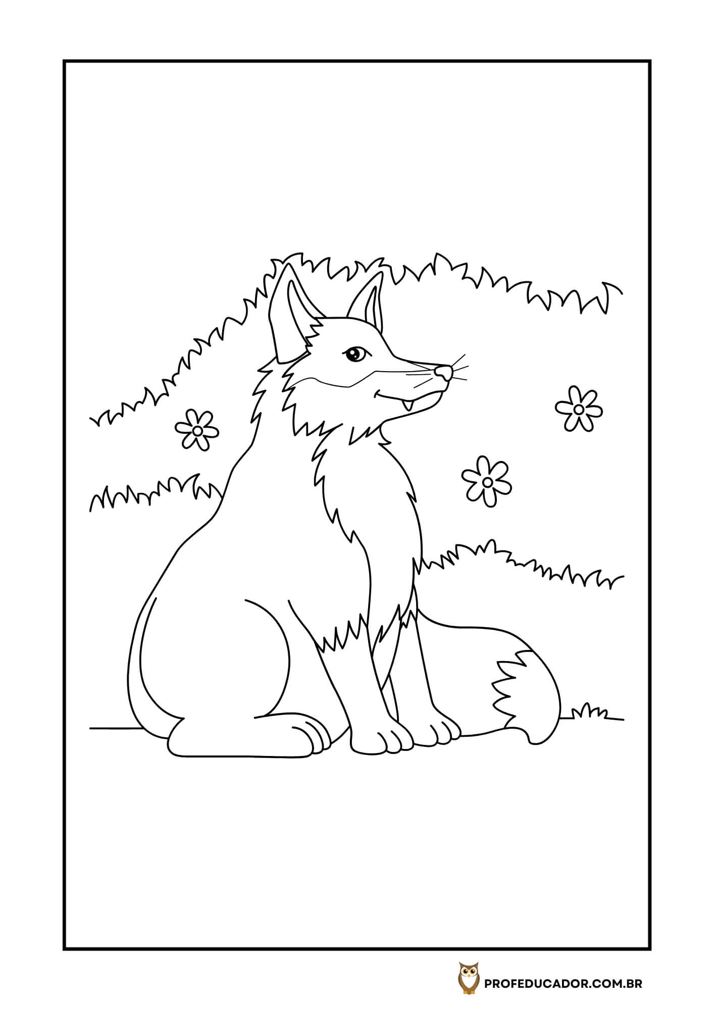 As melhores atividades para Colorir 50 atividades de colorir animais selvagens